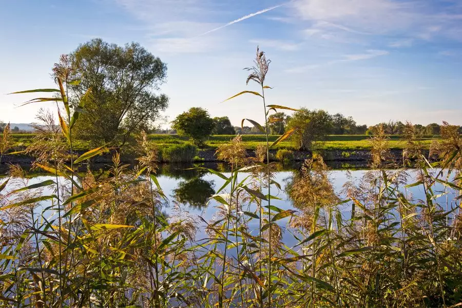 GreenTravel Magazin Havelland Werder Ökotourismus Hotel