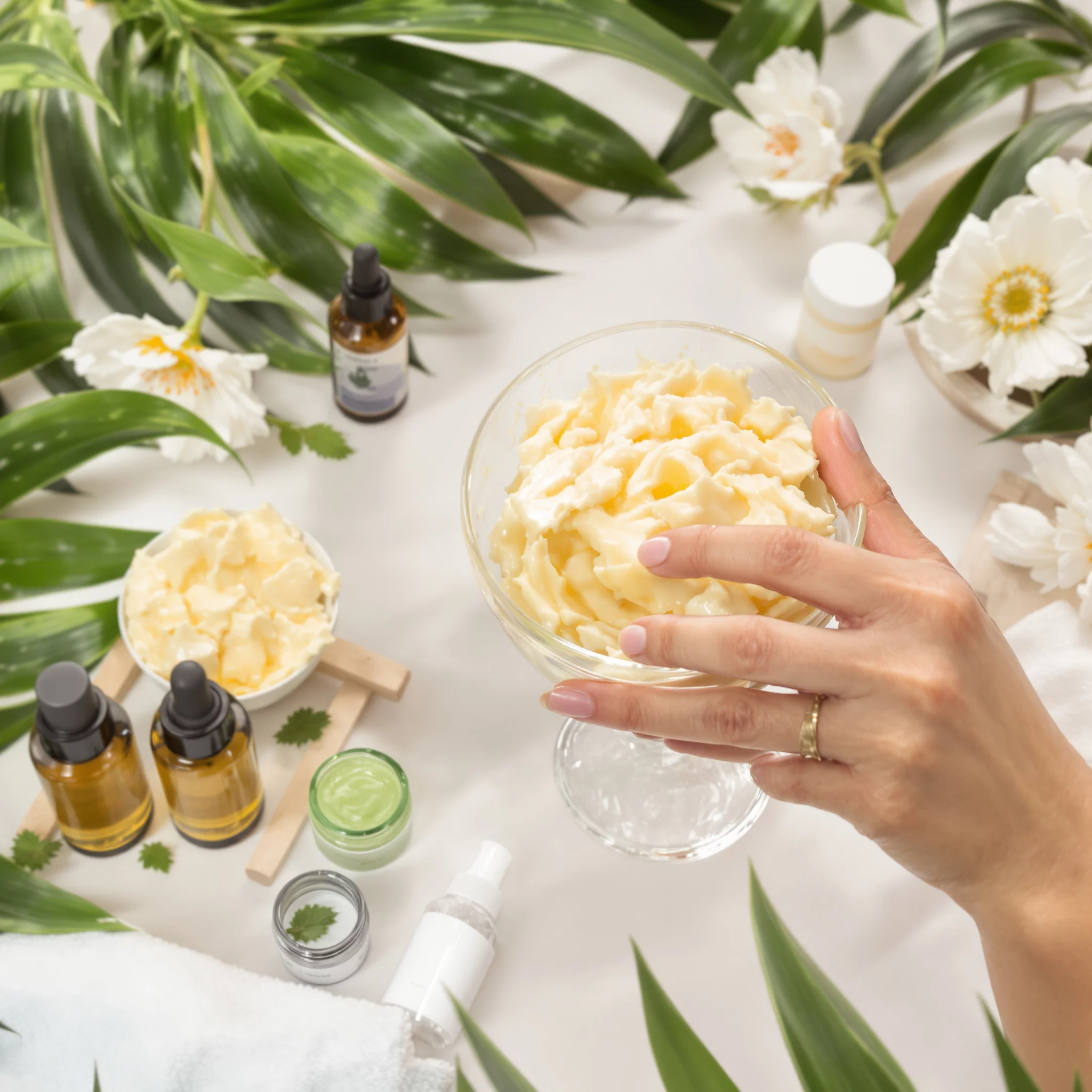 Natürliche Inhaltsstoffe: Aloe Vera, Sheabutter & Co. erklärt – DAS Wellness Magazin