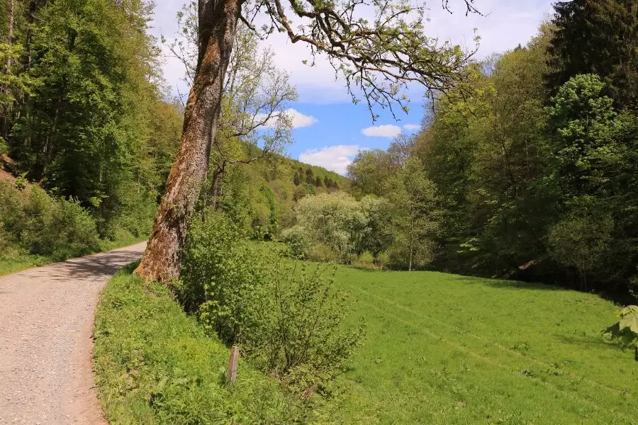 Ausflugsziele - Naturpark Homert - Wollmarkt Schmallenberg
