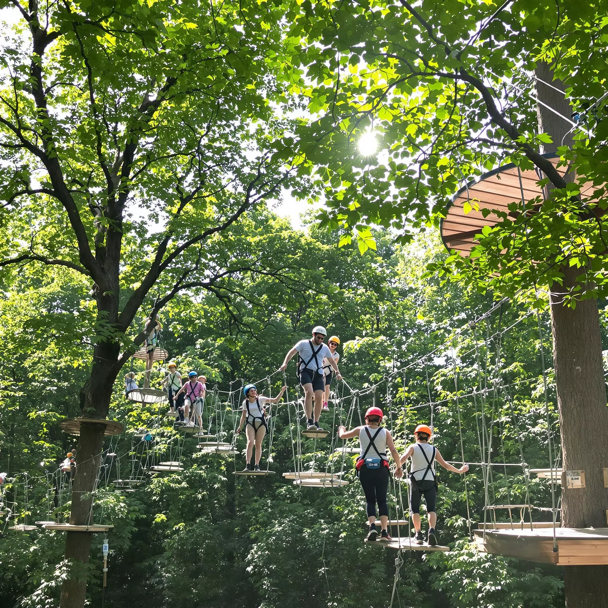 Kletterspaß im Hochseilgarten Schmallenberg
