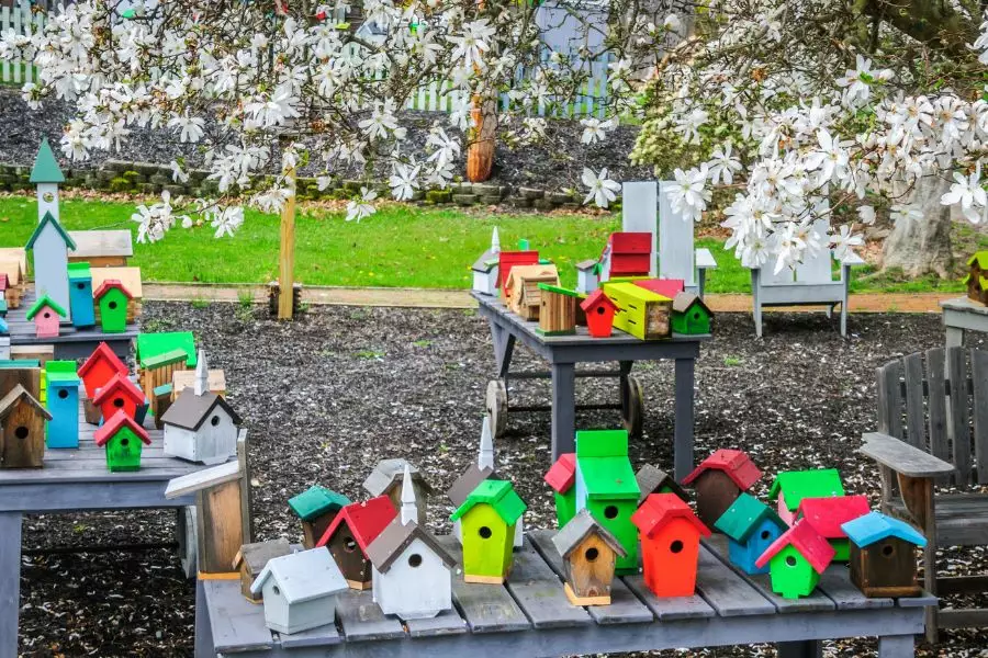 Veranstaltungen - Schmallenberger Sauerland Wanderwoche - Bauernmarkt