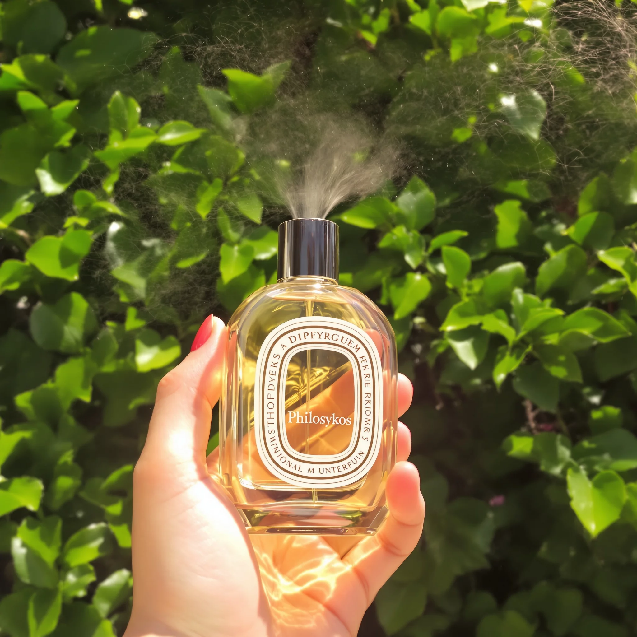 Diptyque Philosykos: Der Feigenduft, der Kultstatus erreicht hat