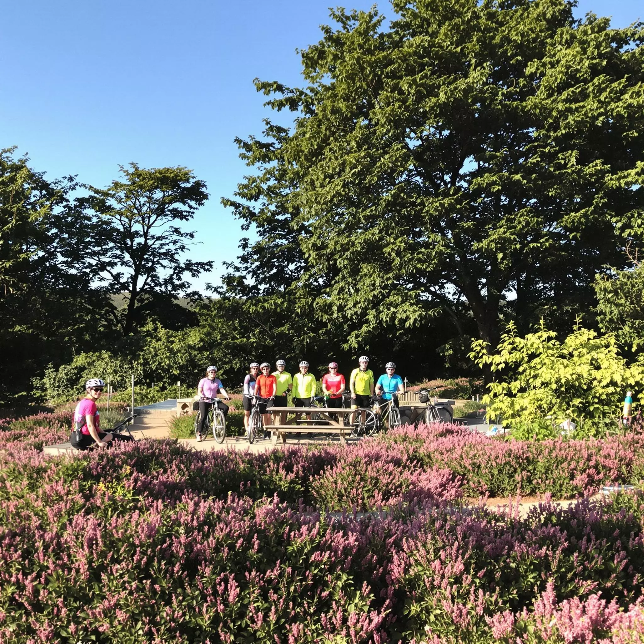 Radfahren durch die malerische Landschaft der Südheide