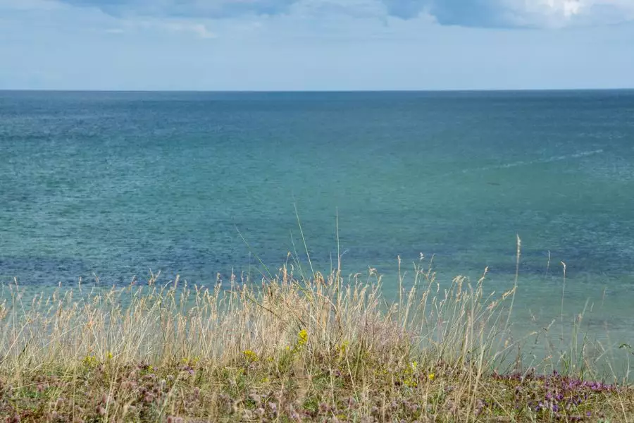 Sightseeing - Heidschnuckenweg - Wildpark Müden