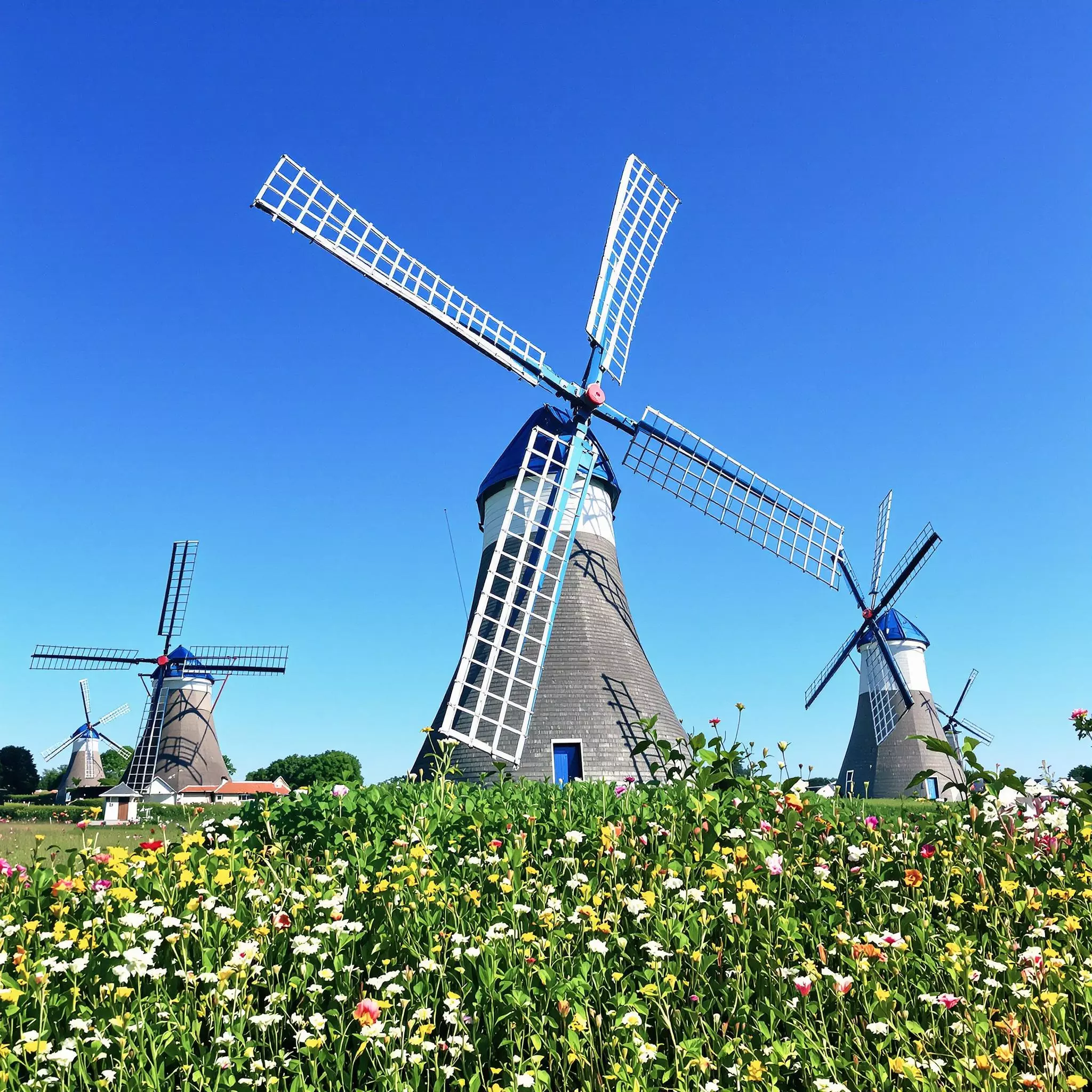 Wunderbare und einmalige Orte und Plätze in der Südheide: Schöner Brückenschlag am Mühlenmuseum Gifhorn