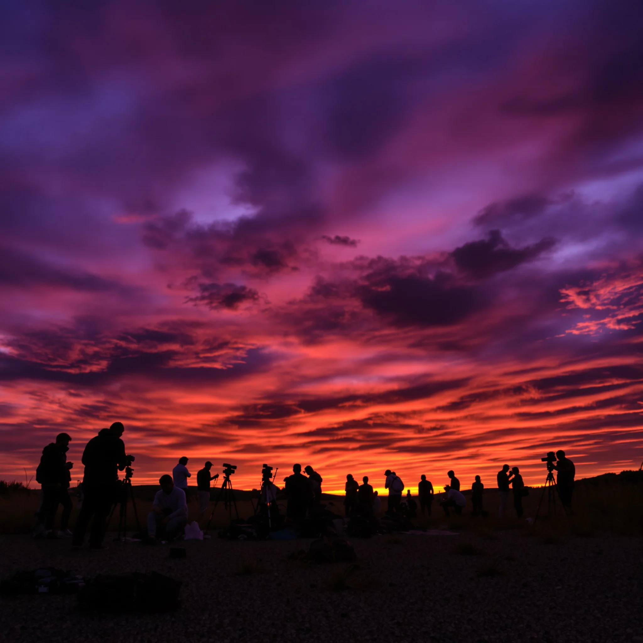 Noctourism – Reisen ins Nachtleben der Natur und Städte