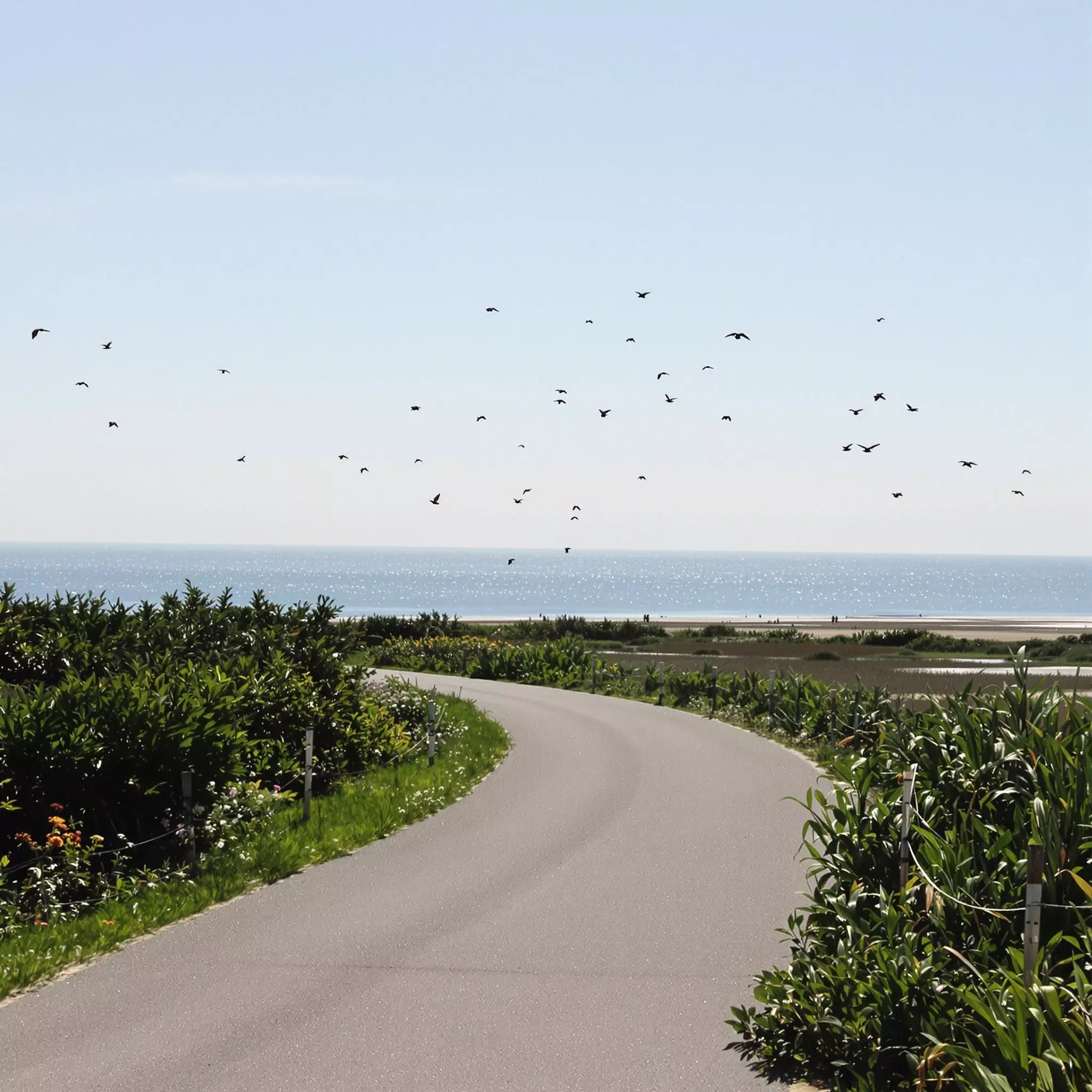 Fahrradtouren entlang der Deiche