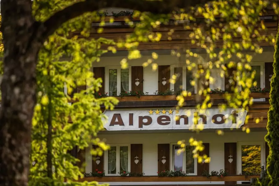 Alm und Wellnesshotel Alpenhof Schönau - Wellnesshotel Schönau - Almhotel Bayern