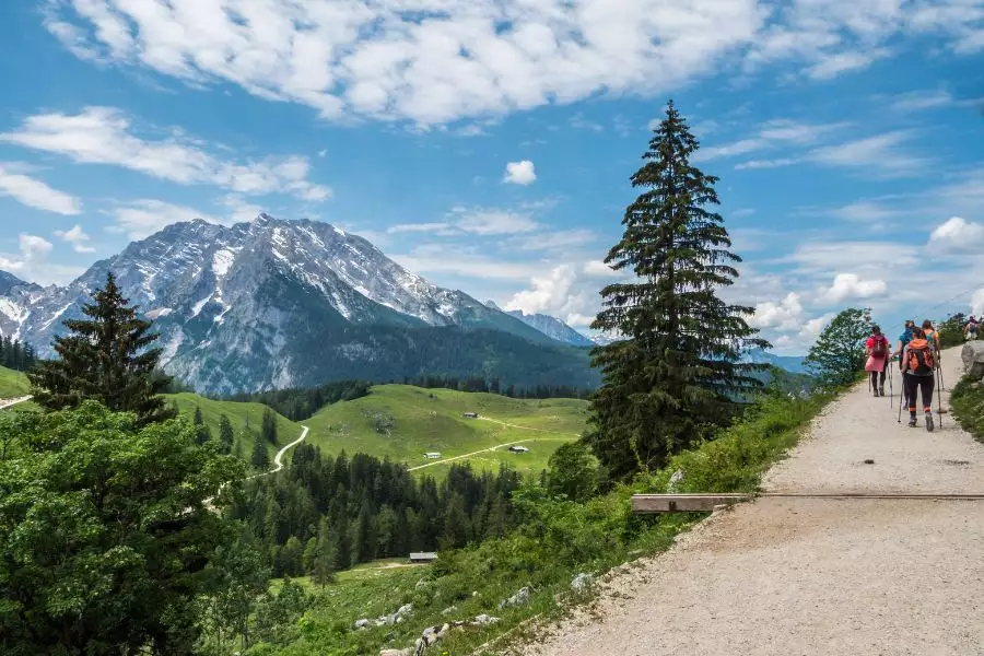 Berchtesgaden und Wandern - Latschenkiefer - Alpinismus