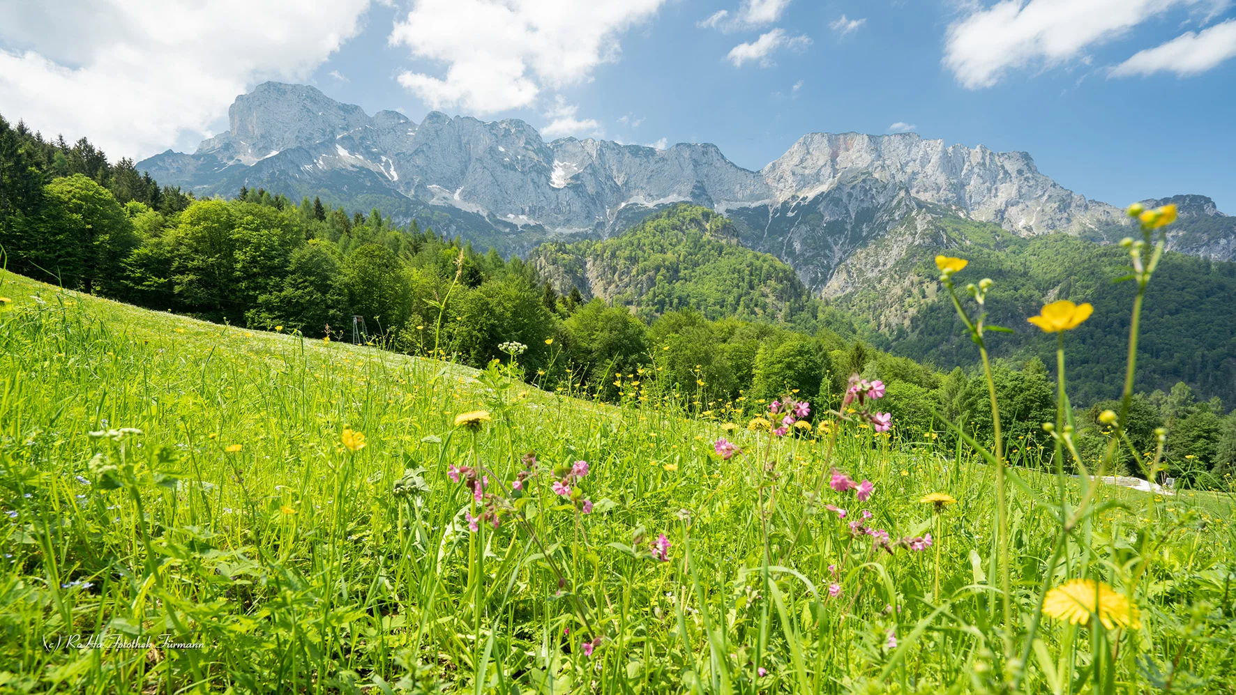 BGD-MARKT-SCHEL-LAN-0011-D-roha