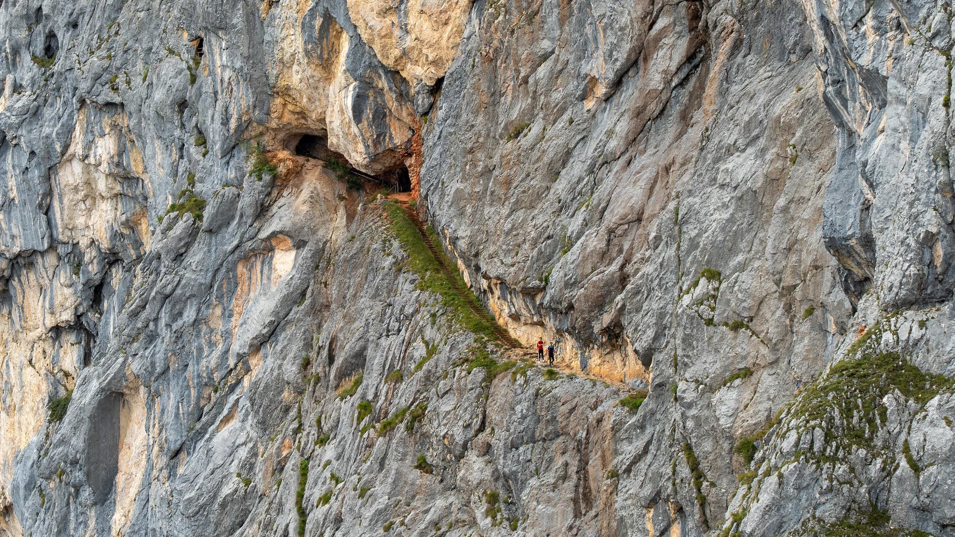 BGD-MARKT-SCHEL-UNT-2025-2-8706-D-roha