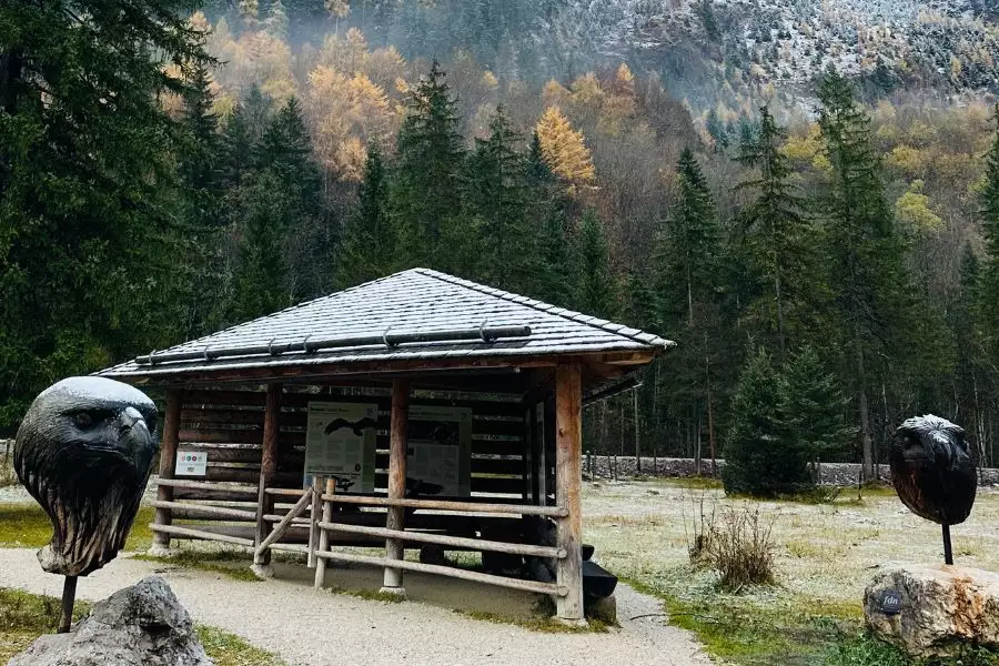 (c)be-outdoor.de - Petra Sobinger Bartgeier Nationalpark Berchtesgaden