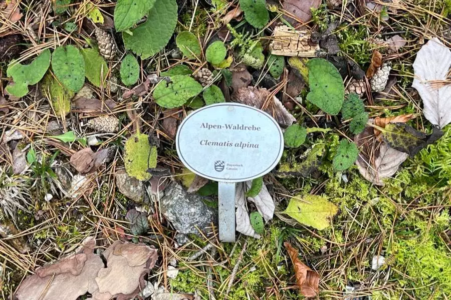 (cbe-outdoor.de_Alpgarten_Bayerisch_Gmain5
