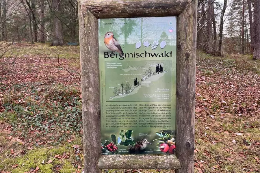 (cbe-outdoor.de_Alpgarten_Bayerisch_Gmain8