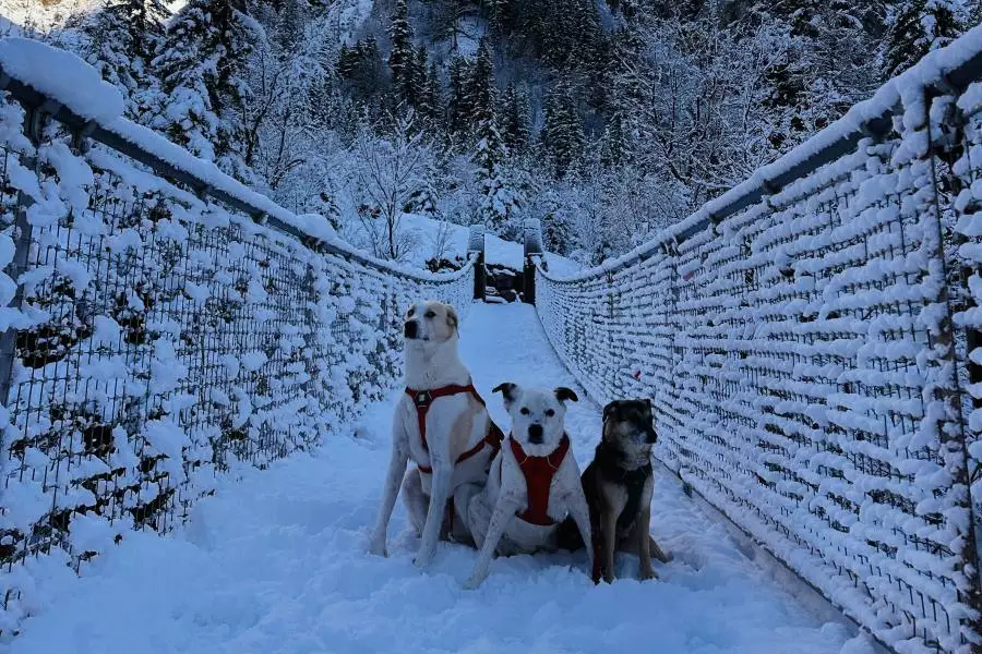 (c)be-outdoor.de_Klausbachtal_Haengebruecke