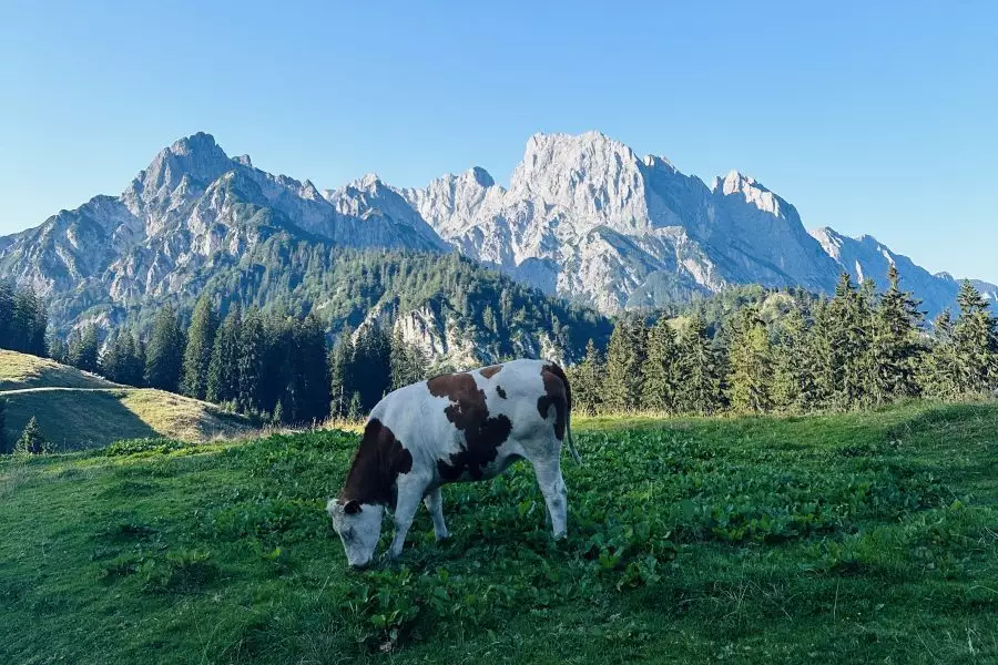 (c)be-outdoor.de_Lietzlalm2