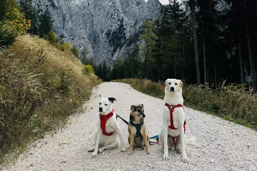 (c)be-outdoor.de_Petra_Sobinger_Ligeret