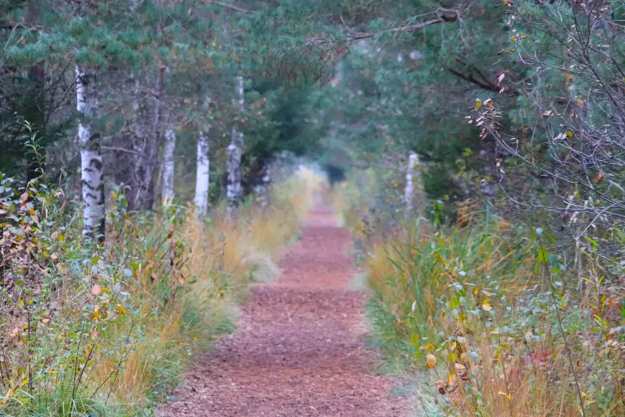 (c)be-outdoor.de_Stefan_Poerschke_Schoenramer_Moor_1