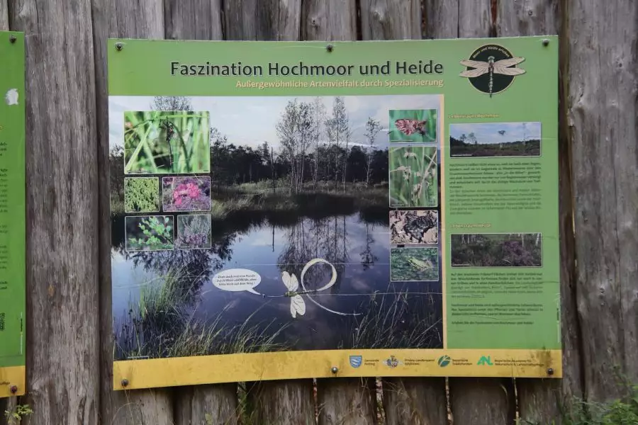 (c)be-outdoor.de_Stefan_Poerschke_Schoenramer_Moor_7