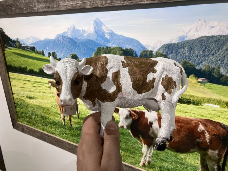 (c)Fotografie_Goettges_Kuehe9