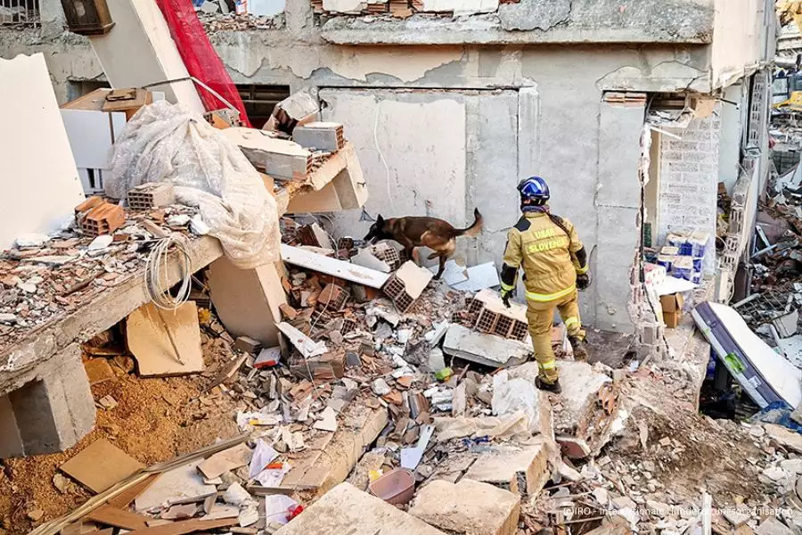 (c)IRO Internationale Rettungshundeorganisation_2