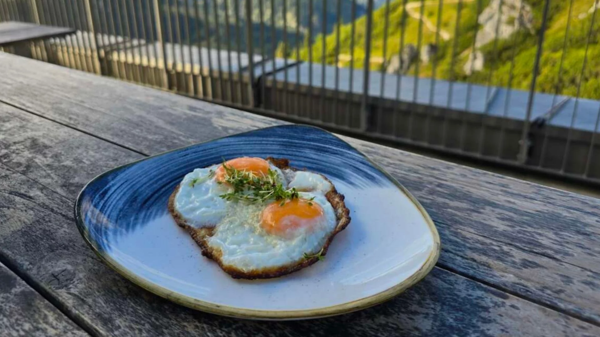 Bio-Genuss mit Gipfelblick: Regionale Küche & Bio-Eier auf dem Jenner