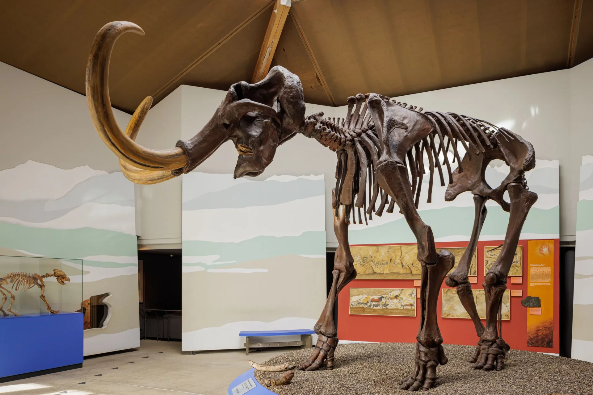 (c)Mammut_Museum_2