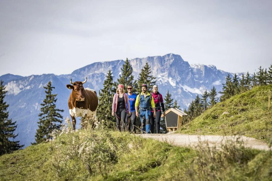 (c)Nationalpark_Berchtesgaden_Jennerbahn (2).webp