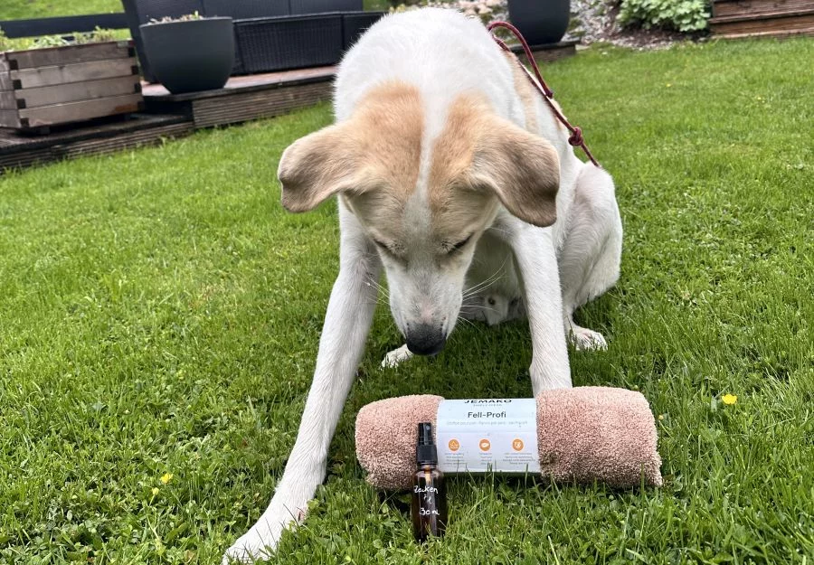 (c)Petra_Sobinger_doterra_Jemako_Stefanie_Kohl3