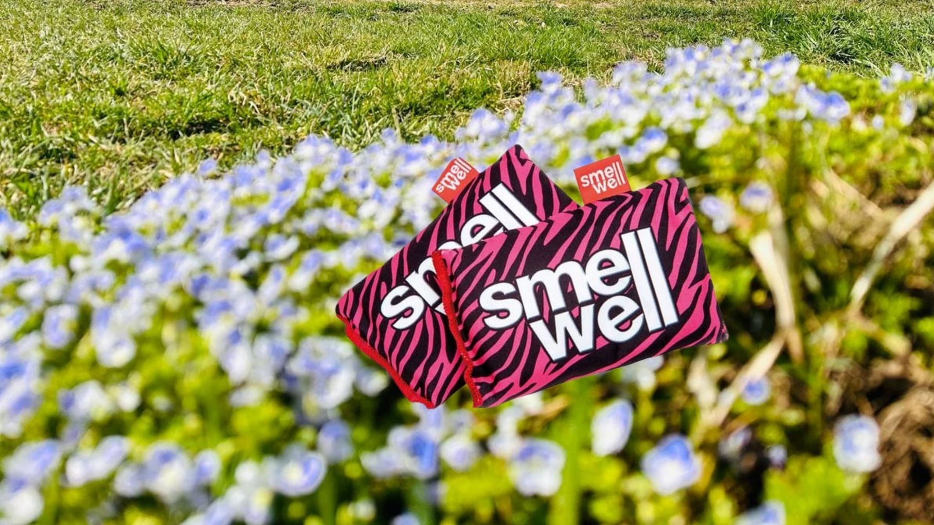 SmellWell gewinnen – Dein Frische-Geheimnis für Sport, Alltag & Abenteuer!