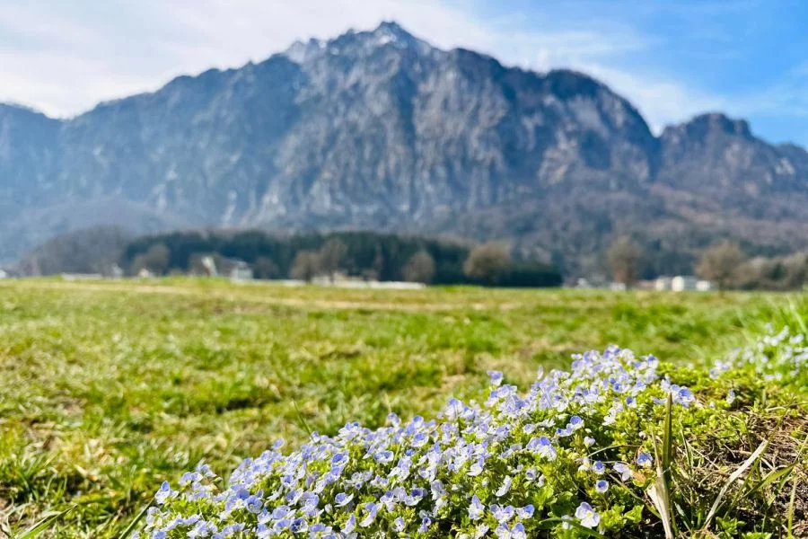 (c)Petra_Sobinger_Untersberg_