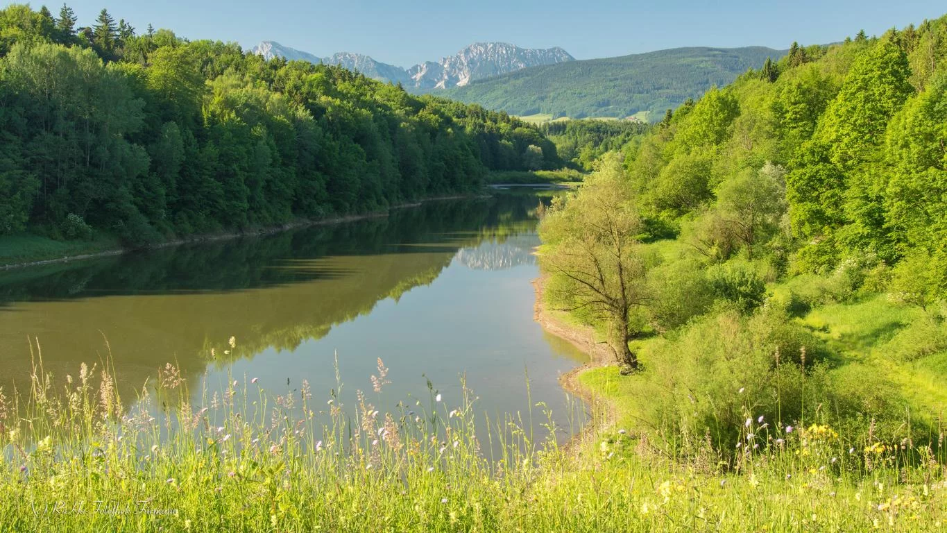 (c)Roha-Fotothek_Moor_Erlebnisregion_Rupertiwinkel (1).webp