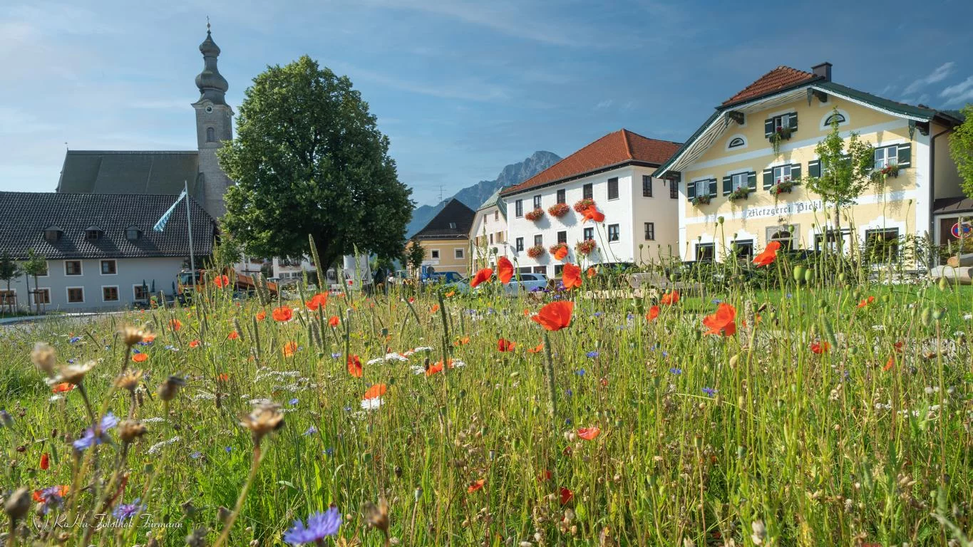 (c)Roha-Fotothek_Moor_Erlebnisregion_Rupertiwinkel (2).webp