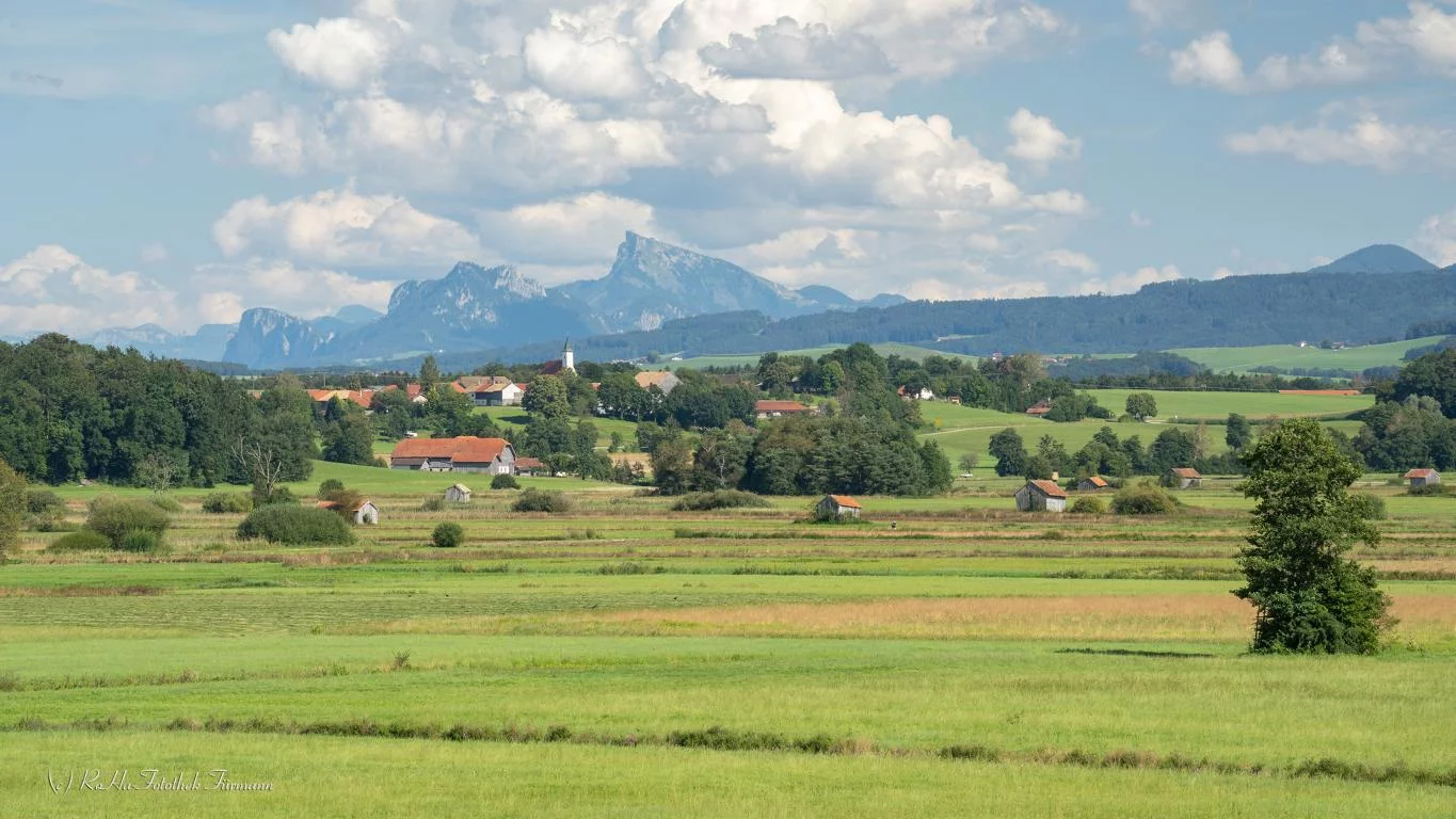 (c)Roha-Fotothek_Moor_Erlebnisregion_Rupertiwinkel (3).webp
