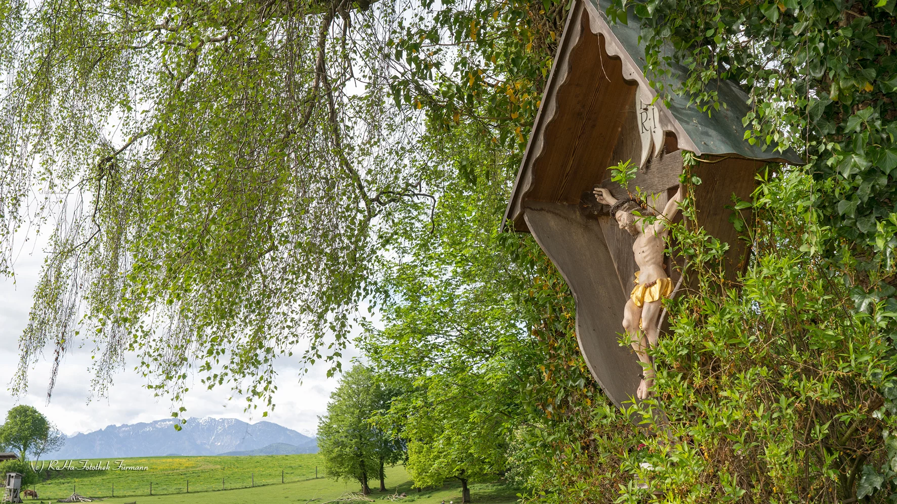 (c)Roha-Fotothek_Saaldorf_Surheim (2).webp