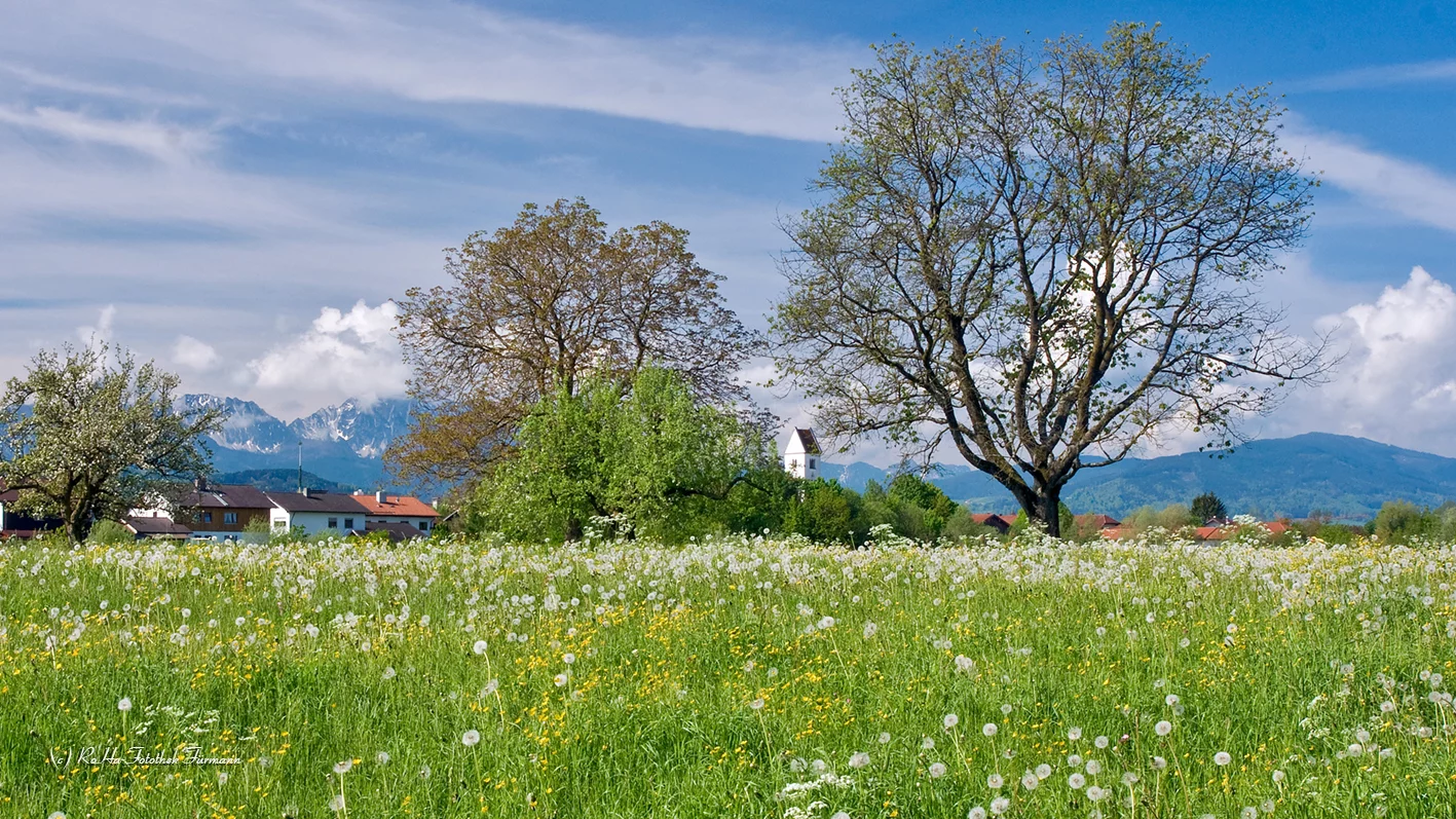(c)Roha-Fotothek_Saaldorf_Surheim (4).webp