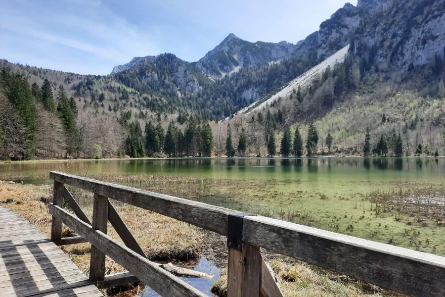 (c)Stefan_Poerschke_Frillensee_13