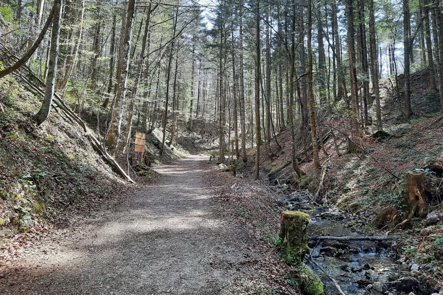 (c)Stefan_Poerschke_Frillensee_3