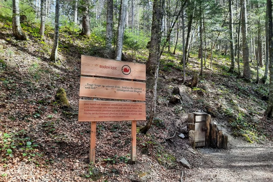 (c)Stefan_Poerschke_Frillensee_4