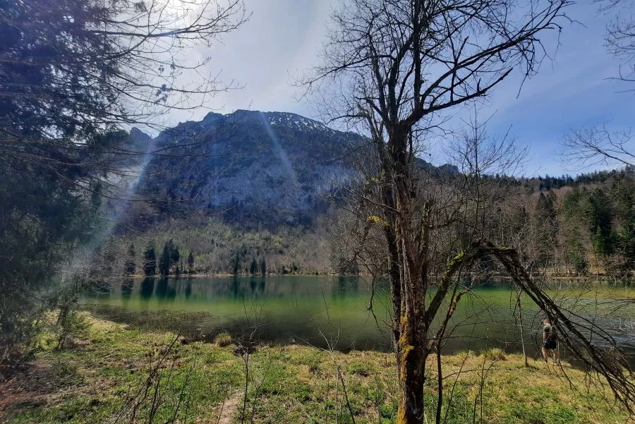 (c)Stefan_Poerschke_Frillensee_9