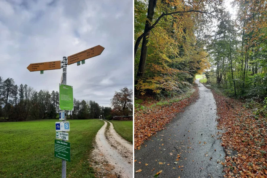 (c)Stefan_Poerschke_Herbstwanderung_Waginger_See (1).webp