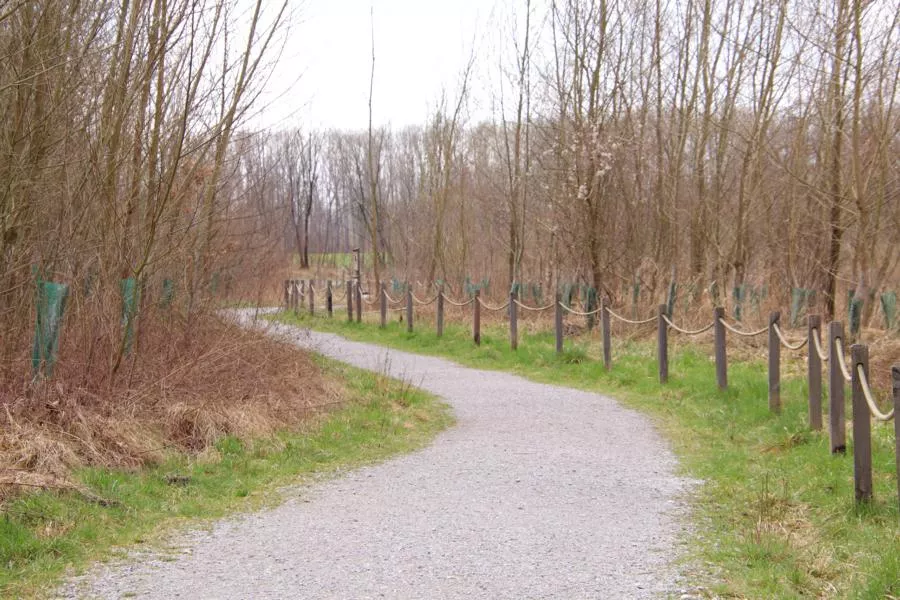 (c)Stefan_Poerschke_Salzachauen_ (2).webp