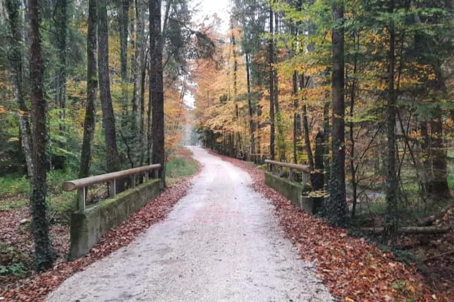 (c)Stefan_Poerschke_Teisendorfer_Bierwanderweg (3).webp