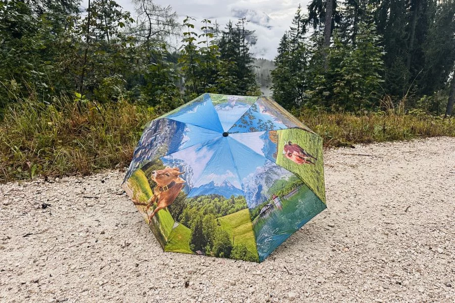 Goettges_Souvenir_Regenschirm