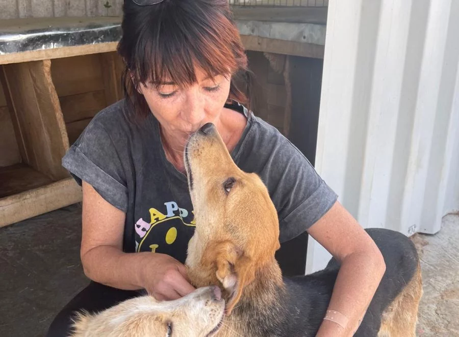 Charity Event am 28. November in der FressBar Salzburg für die Salzburger Hundeengel