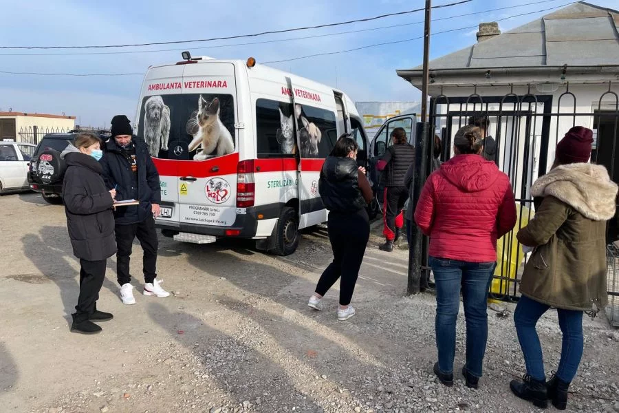 Salzburger_Hundeengel_Susanne_Gruber_2