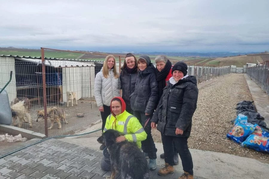 Salzburger_Hundeengel_Susanne_Gruber_3