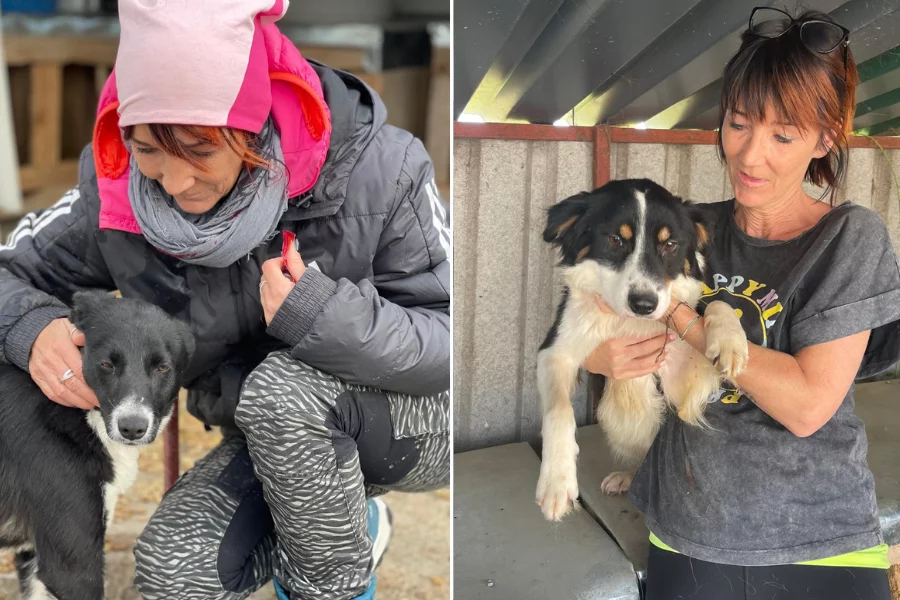 Salzburger_Hundeengel_Susanne_Gruber_4