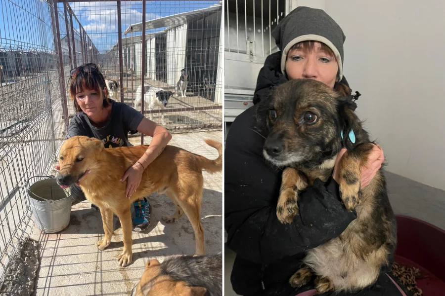 Salzburger_Hundeengel_Susanne_Gruber_5