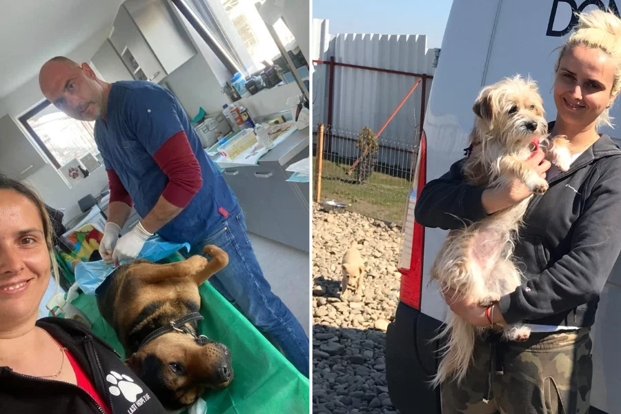 Salzburger_Hundeengel_Susanne_Gruber_8